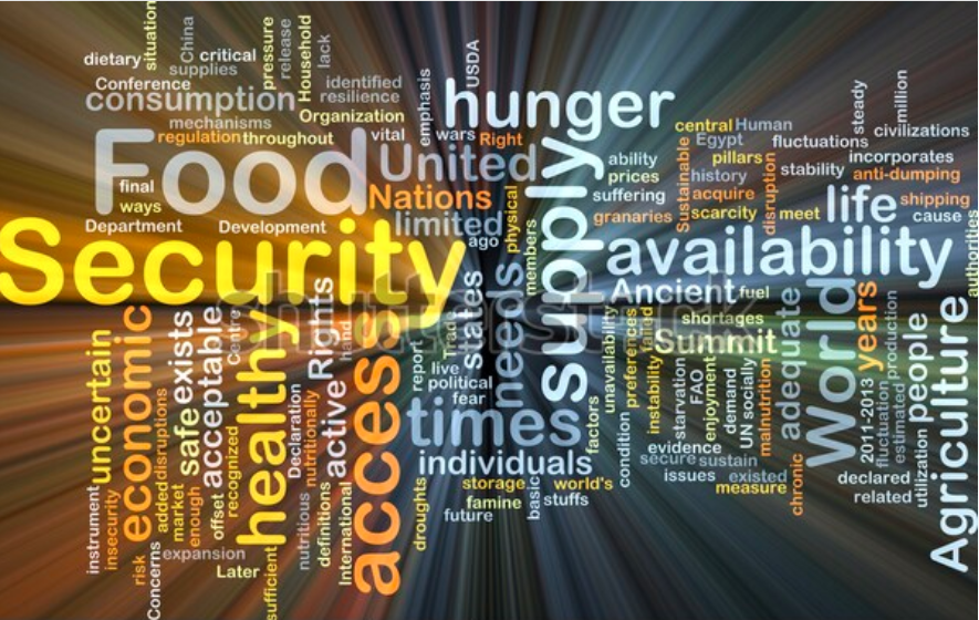 COVID-19 Accelerates Food Insecurity in America